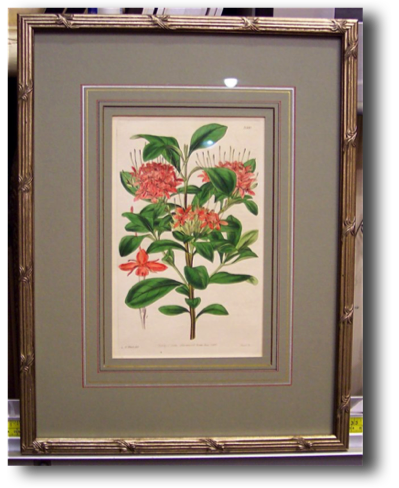 New design lets art
be seen FIRST